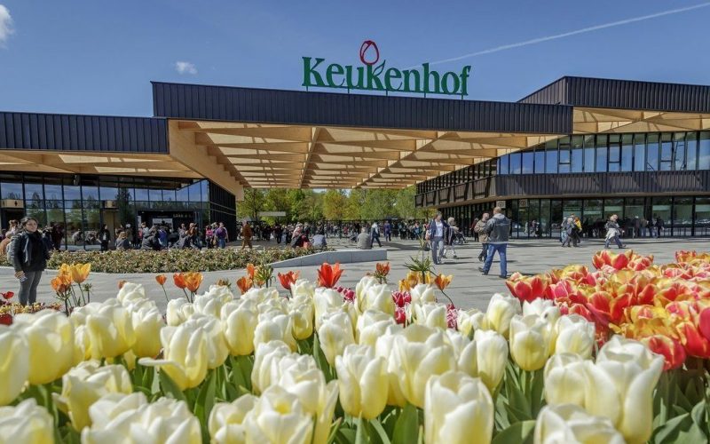 Keukenhof Blumenpark Amsterdam Holland Offnungszeiten Preise