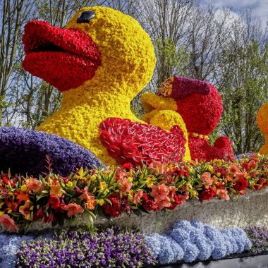 Blumenkorso Holland