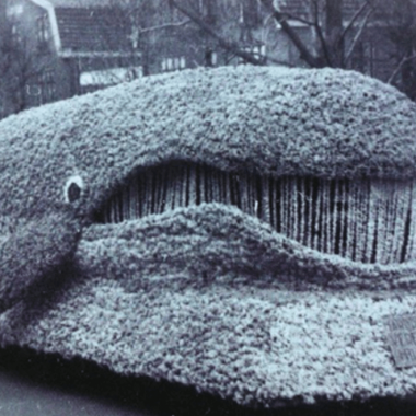 Geschichte der Blumenparade
