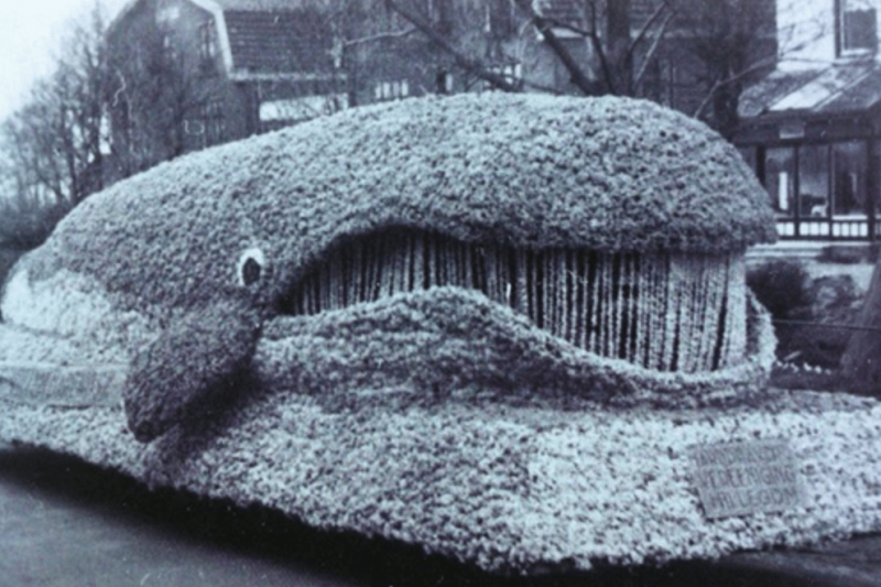 Geschichte der Blumenparade