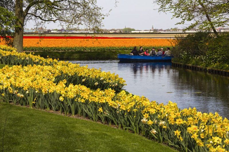 Rundfahrt entlang der Tulpenfelder