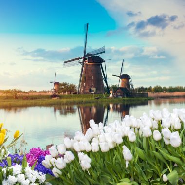 About tulpenfest Amsterdam