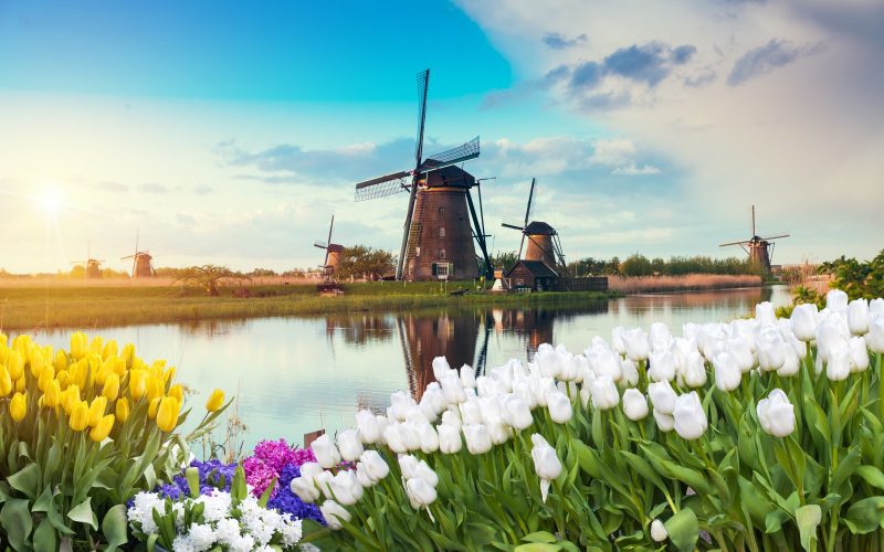About tulpenfest Amsterdam