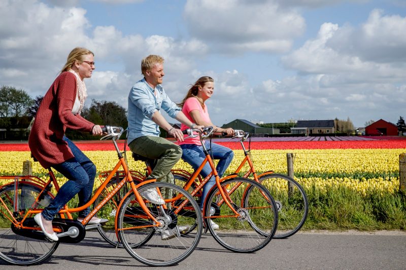 Keukenhof-Radwege entlang der Tulpenfelder in Holland