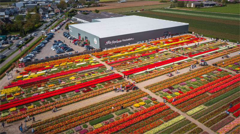 Tulip Experience Noordwijkerhout