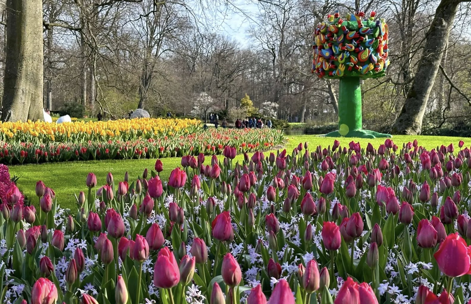 Сколько будут стоить тюльпаны в 2024. Фестиваль тюльпанов в Амстердаме.