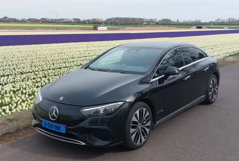 private Tour entlang der Tulpenfelder um den Keukenhof