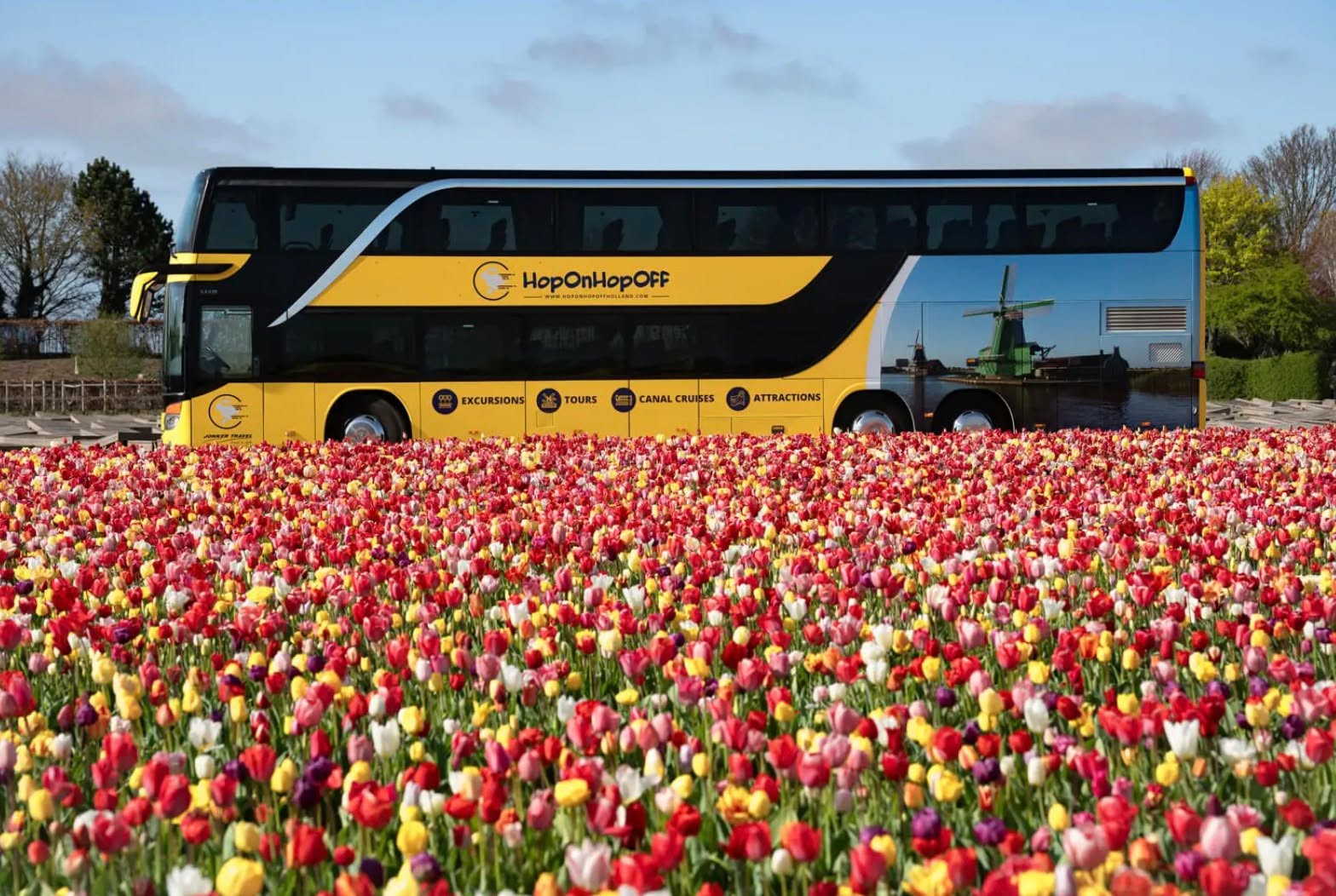 🌷 Escape the city, step into spring 🌷
Hop on a bus and swap the city centre of Amsterdam for the Dutch countryside. Visit a real tulip farm, explore Keukenhof Gardens, or discover the Tulip Experience. Easy, relaxed, and just outside the city.

Fresh air, flowers everywhere, and the Netherlands at its most beautiful 🌸

#tulipseason #tulipfestival #tulipfestivalamsterdam #amsterdamtours #amsterdamtodo #amsterdamtourist #AmsterdamSpring  #DayTripFromAmsterdam #DutchCountryside #SpringInHolland #VisitHolland