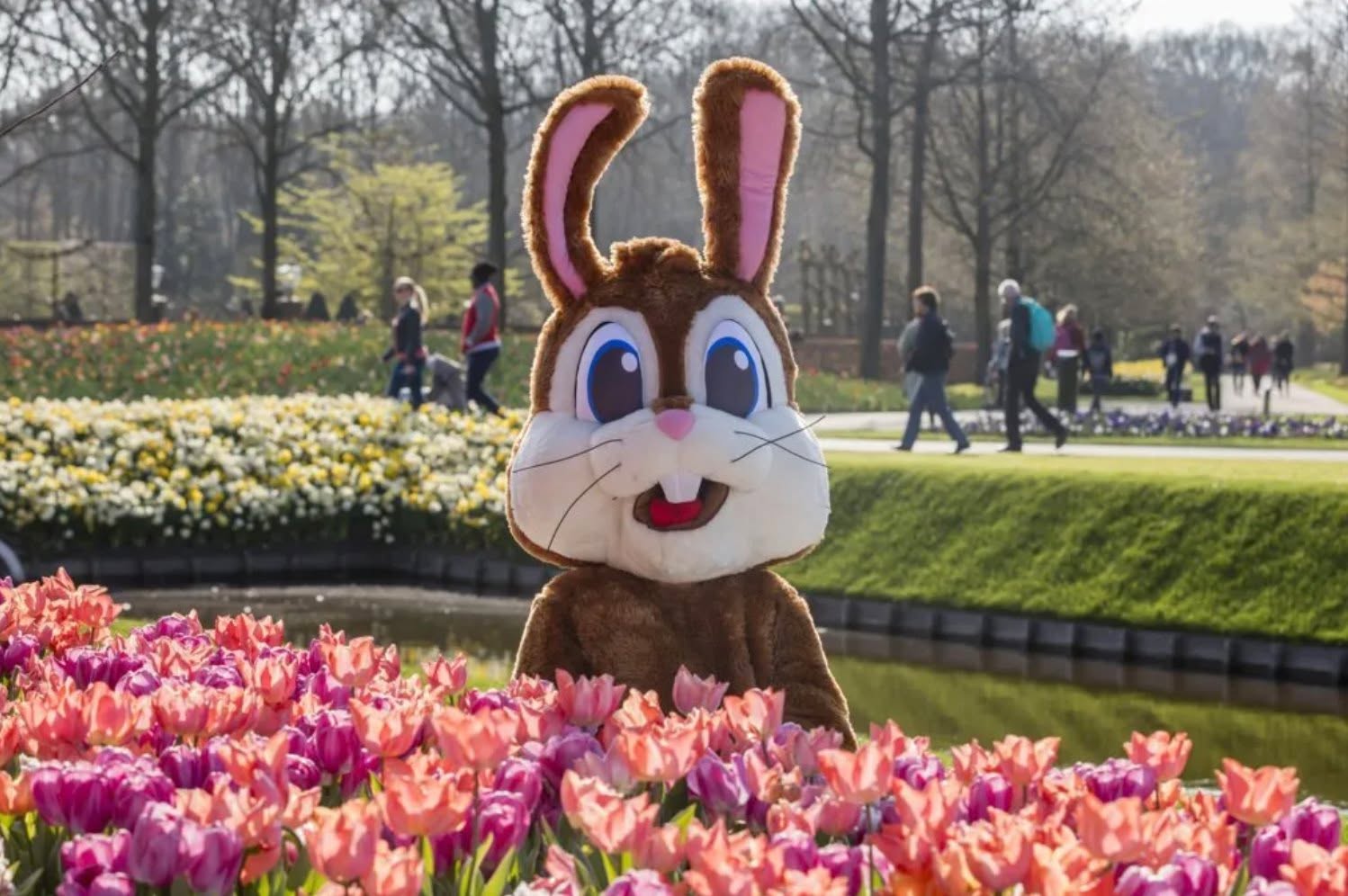 The Easter weekend is a popular time to visit Keukenhof every spring 🐰🌷. Are you planning to visit Keukenhof during the Easter weekend? Then book your ticket in time...! Link in bio 👉

#Tulipfestival #TulipSeason #keukenhof #easterbunny #TulipLovers #FlowerFields #SpringVibes #Instagrammable #InstaSpot #PicturePerfect #FeedGoals #ReelItFeelIt #TikTokTravel #Fotospot #Frühlingsgefühle #Instagrameable #Primavera #SpotPhoto #PrintempsMagique #BloomingMoments #ViralMoments #FlowerMagic 🌷📸